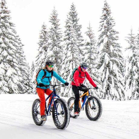 deux vélos sur neige