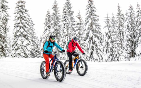 deux vélos sur neige