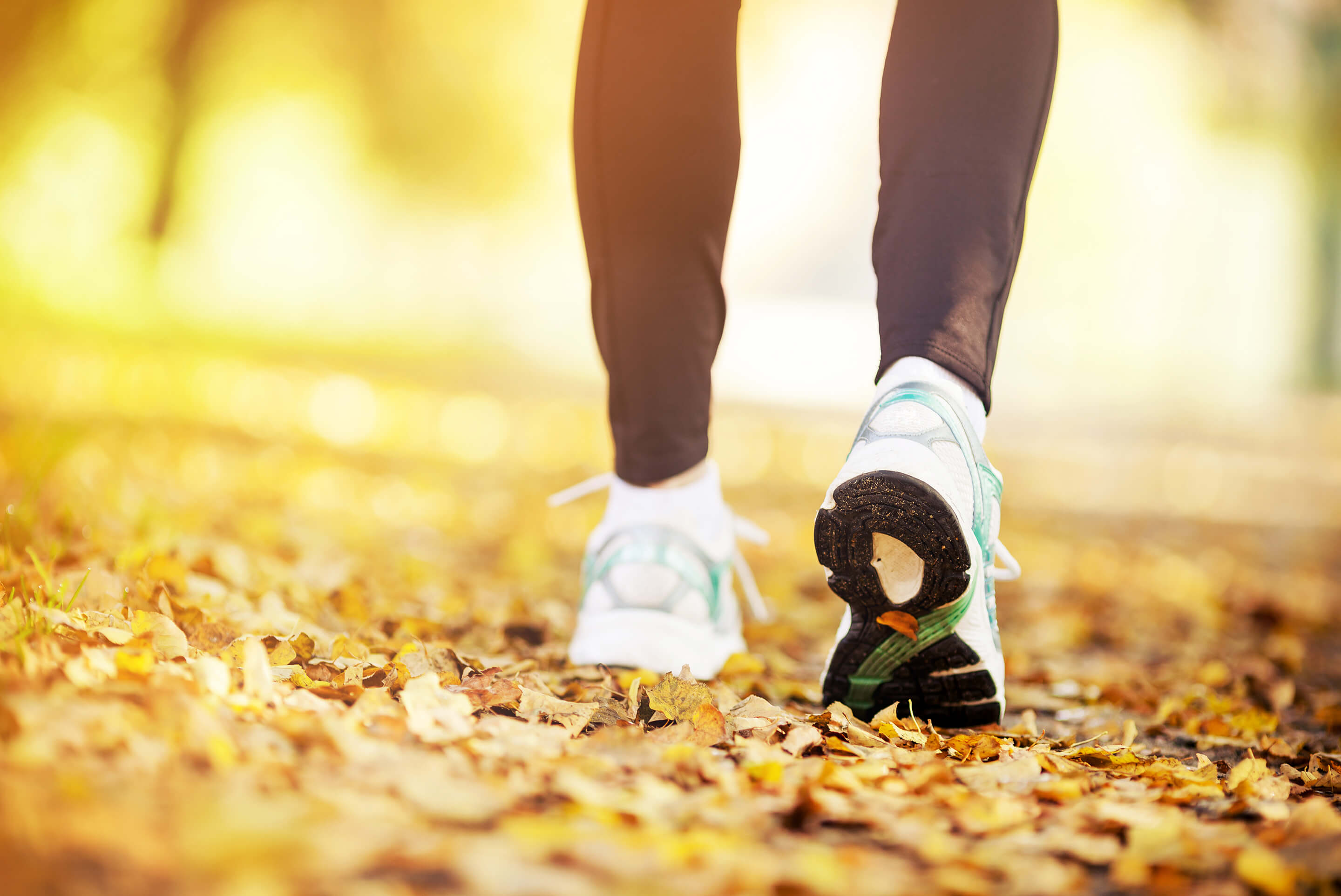 personne qui marche en automne