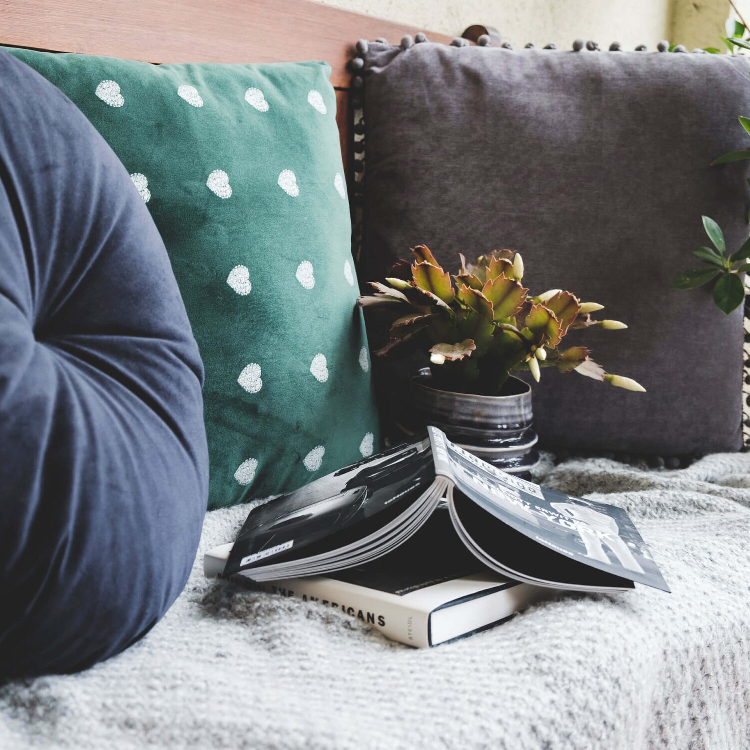 coussins et livre sur canapé