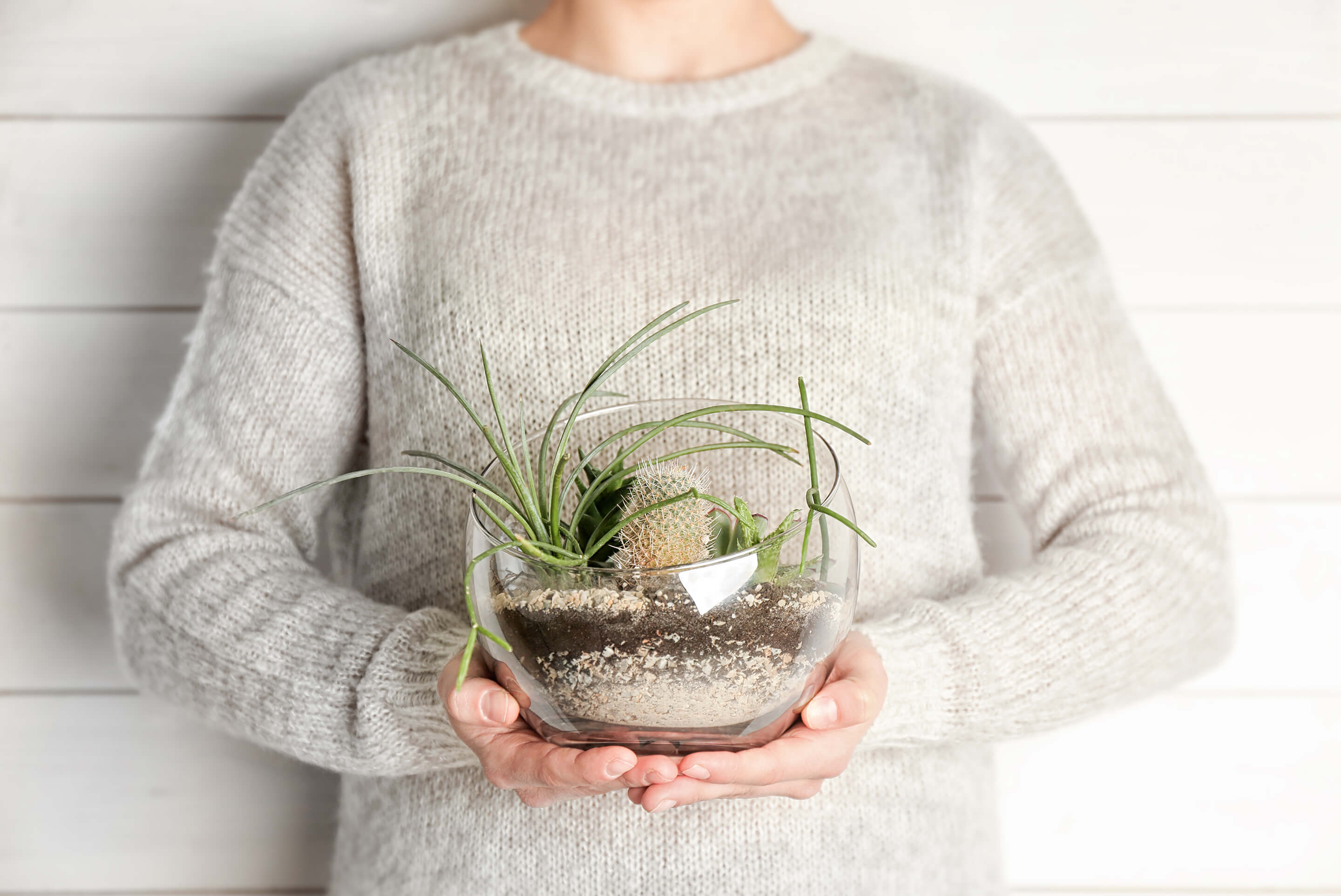 femme qui tient un terrarium