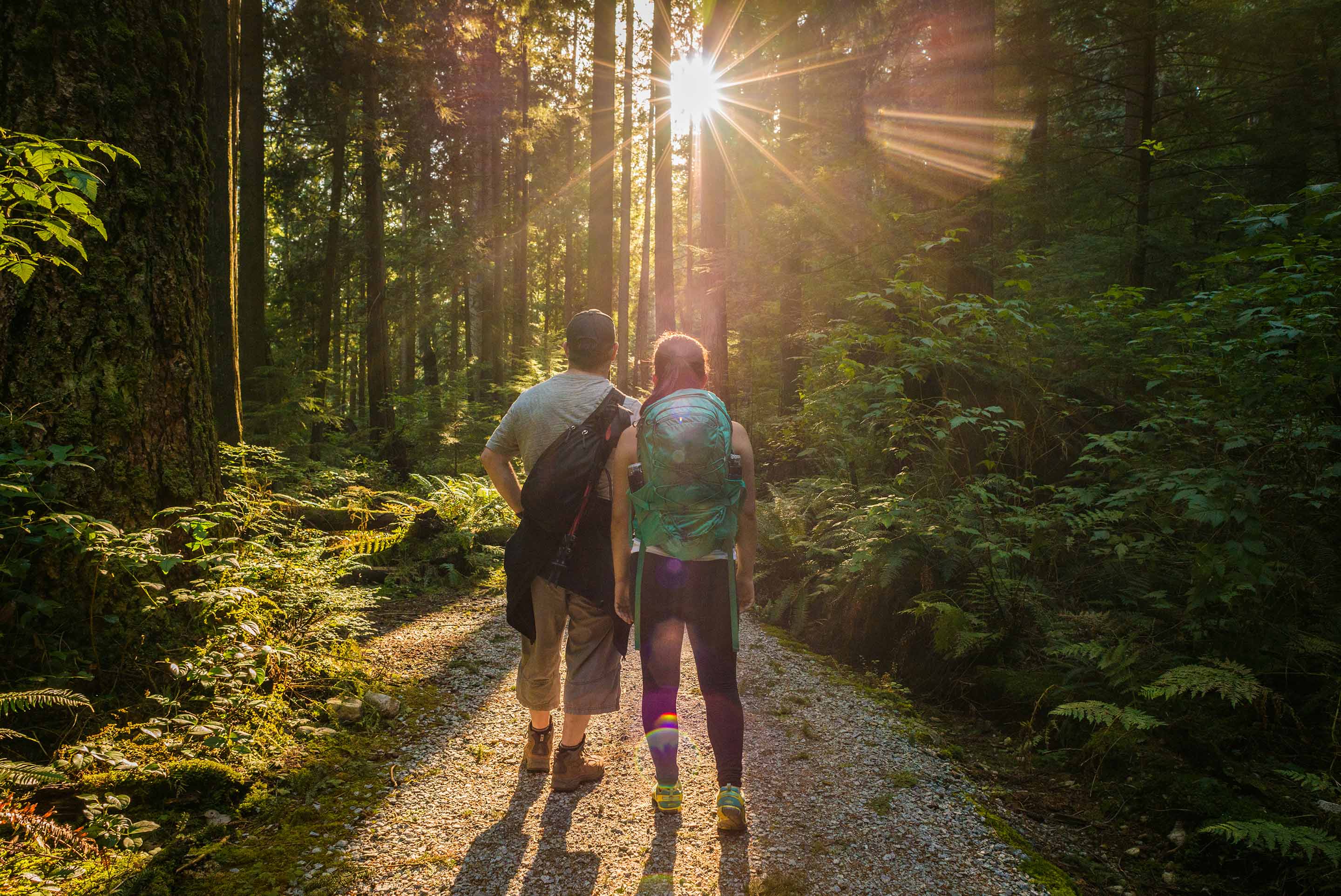 couple en randonnée dans la forêt