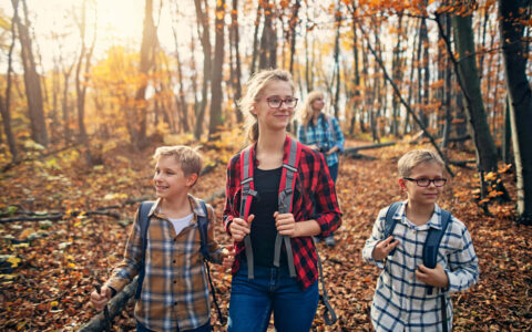 famille en balade dans la foret