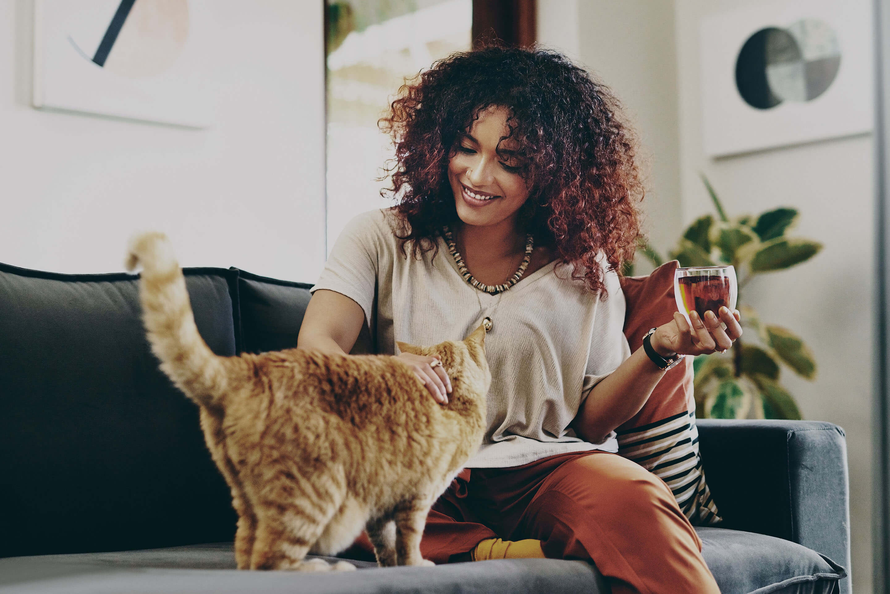 femme sur un canapé caresse un chat