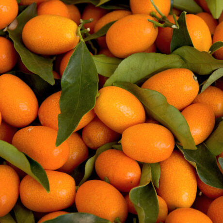 kumquats